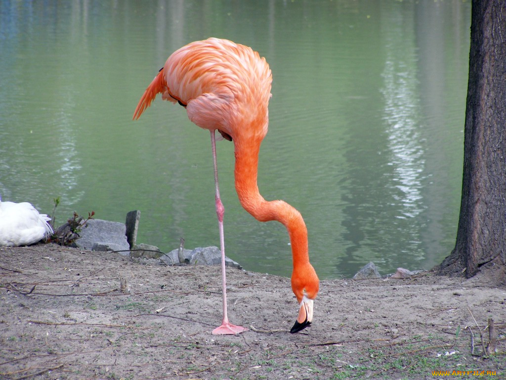 , 